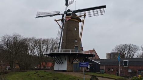 Molen de Korenaer Loosduinen - Foto: Stichting Arcadisch Madestein